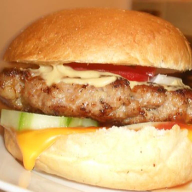 Juicy BBQ and American Hamburger Delights